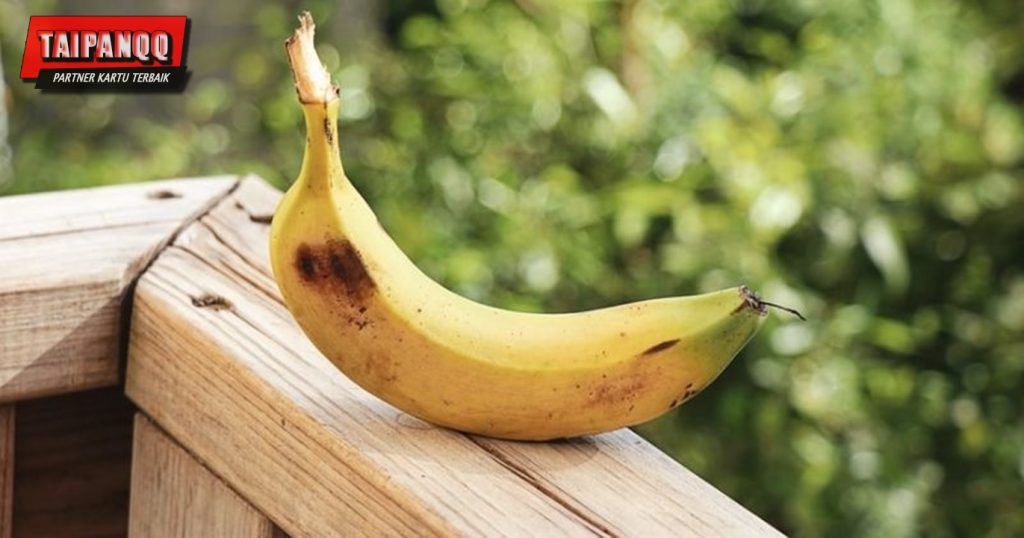 Manfaat Kulit Pisang Untuk Tanaman Hias 