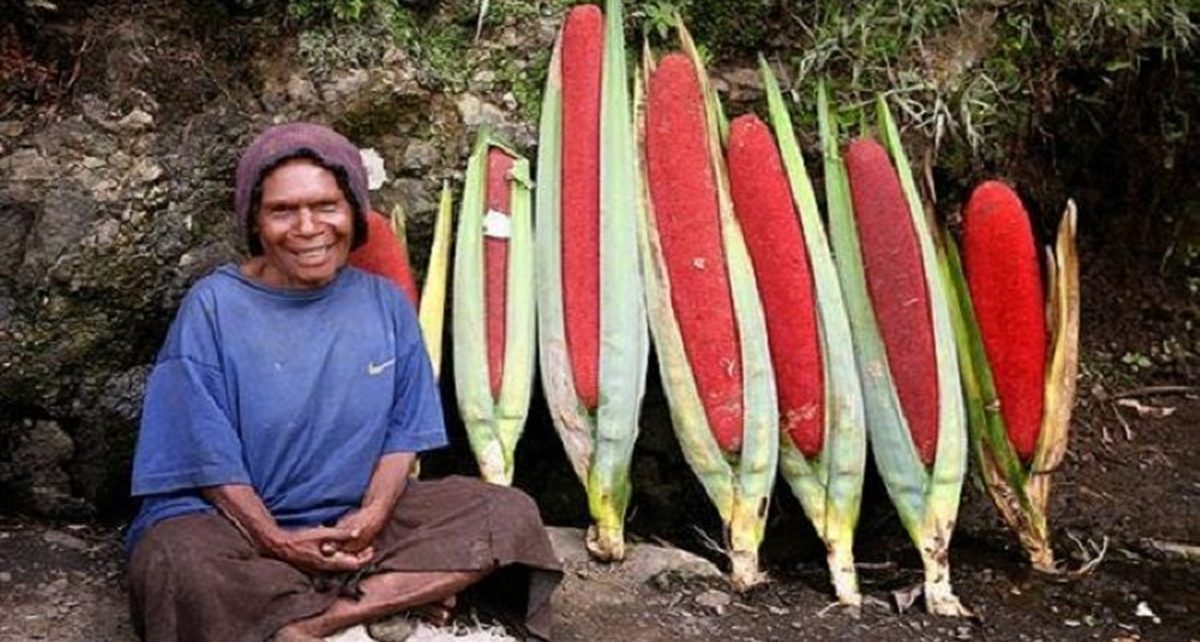 5 Manfaat Buah Merah Papua bagi Kesehatan, Penuh Nutrisi