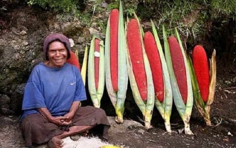 5 Manfaat Buah Merah Papua bagi Kesehatan, Penuh Nutrisi