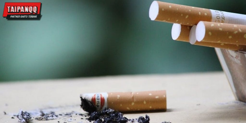 Cara Menghilangkan Bau Rokok Di Kamar
