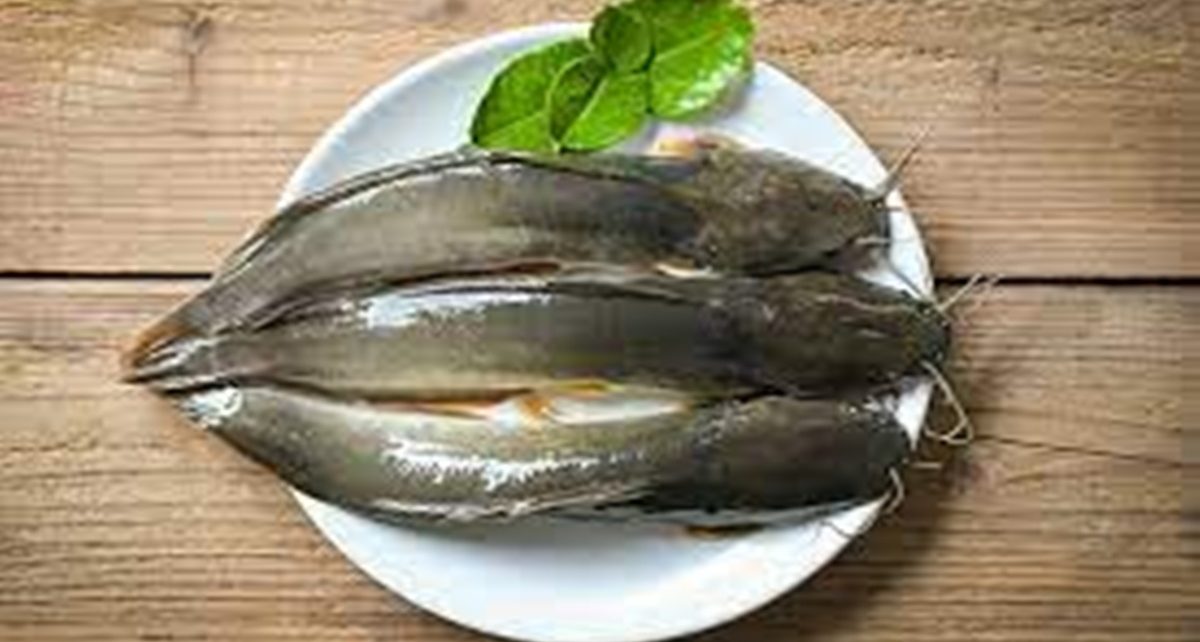 10 Manfaat Ikan Lele untuk Kesehatan, Kaya Nutrisi Penting