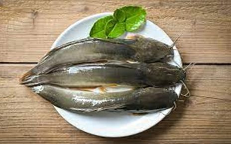 10 Manfaat Ikan Lele untuk Kesehatan, Kaya Nutrisi Penting