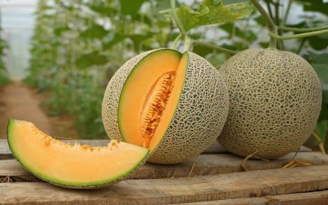 6 Manfaat Melon untuk Tubuh yang Wajib Diketahui