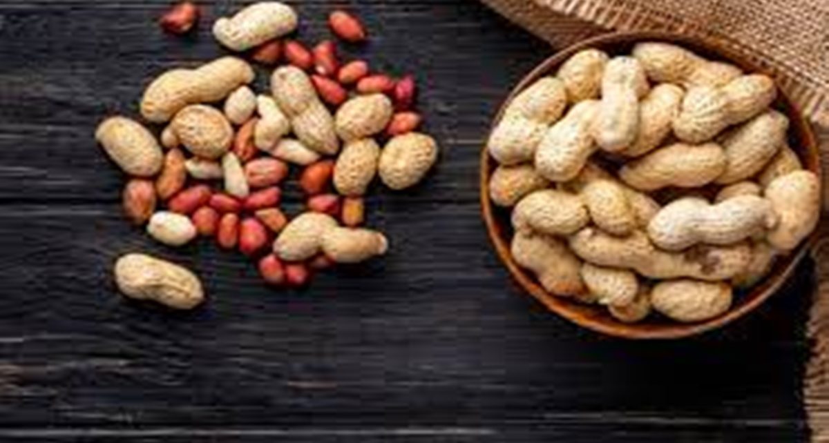 12 Manfaat Kacang Tanah Bagi Kecantikan dan Kesehatan, Bisa Cegah Keriput