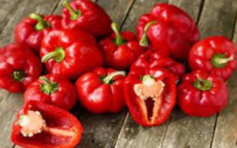 6 Manfaat Paprika Merah Bagi Kesehatan Tubuh, Bantu Turunkan Berat Badan