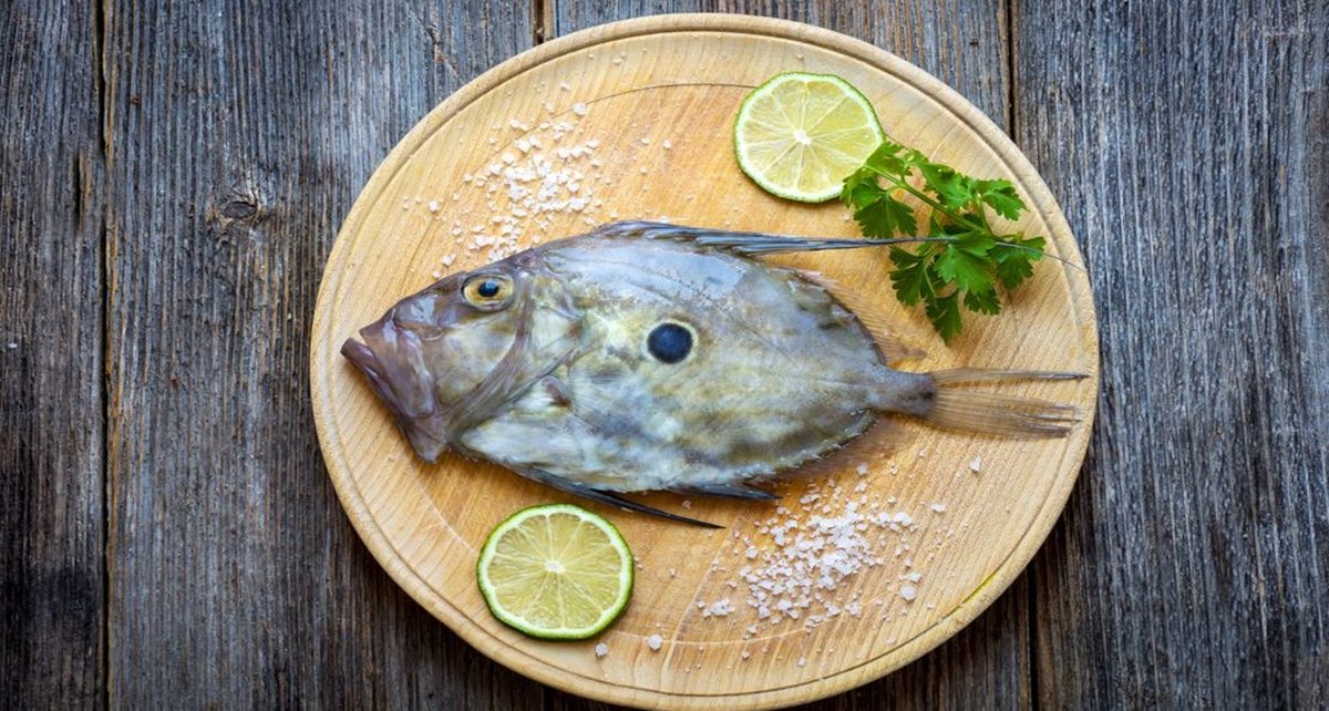 8 Manfaat Ikan Dori bagi Kesehatan, Kaya Nutrisi