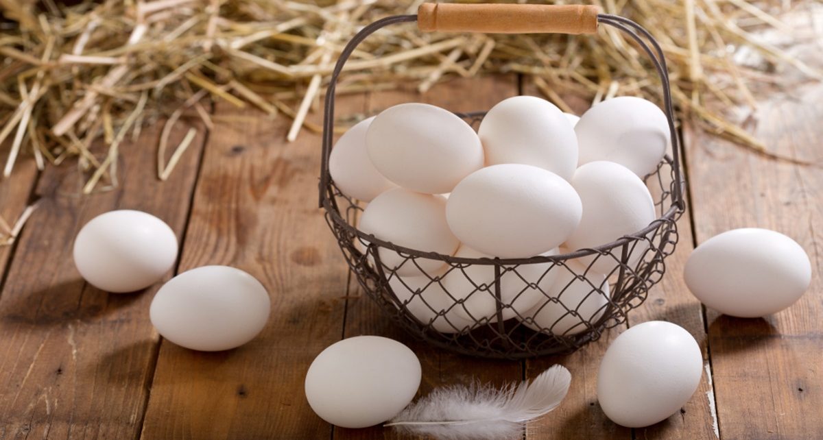 6 Manfaat Telur Ayam Kampung Bagi Kesehatan, Rendah Kolesterol