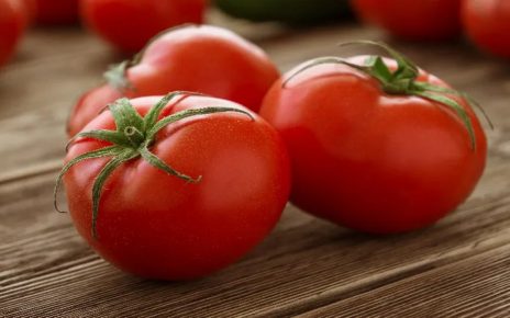 10 Manfaat yang Didapat Tubuh Jika Makan Tomat Setiap Hari