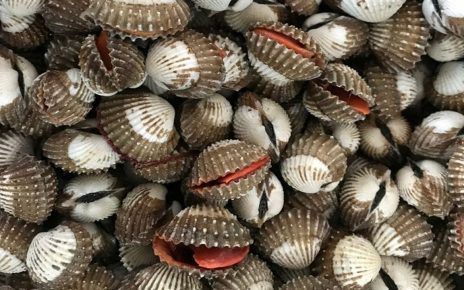 13 Manfaat Kerang yang Baik untuk Kesehatan, Kaya Nutrisi dan Vitamin