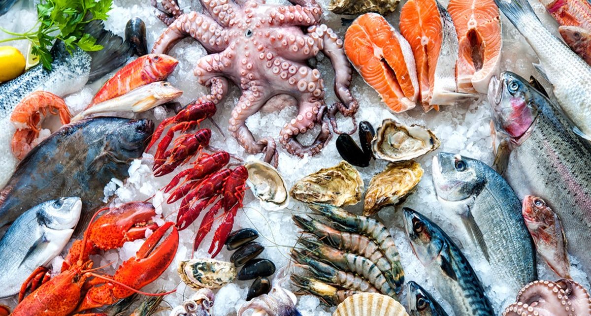 7 Seafood yang Punya Manfaat Besar Bagi Kesehatan Tulang dan Gigi