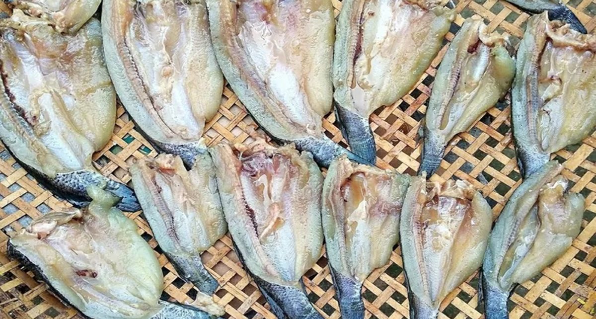 7 Manfaat Ikan Asin Bagi Kesehatan