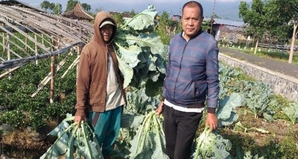 12 Manfaat Kembang Kol untuk Cegah Penyakit, Kaya Antioksidan