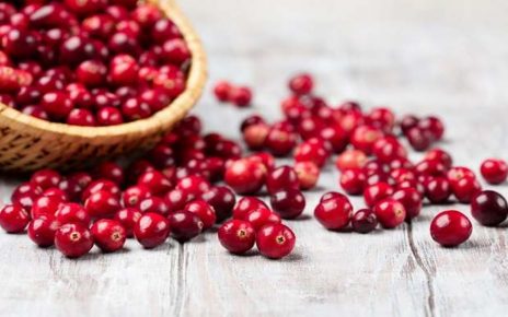 10 Manfaat Buah Cranberry untuk Kesehatan, Cegah Infeksi