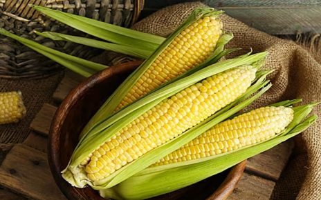 6 Manfaat Jagung bagi Kesehatan Tubuh