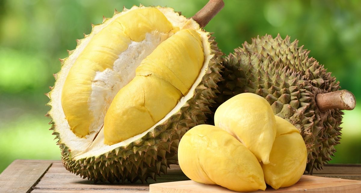 10 Manfaat Durian untuk Kesehatan Tubuh