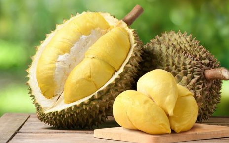 10 Manfaat Durian untuk Kesehatan Tubuh