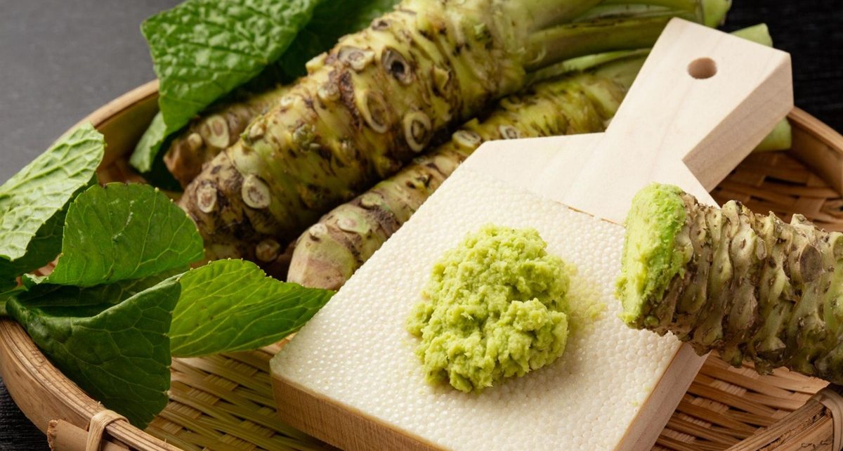 7 Manfaat Wasabi bagi Kesehatan, Dapat Menghambat Pertumbuhan Kanker