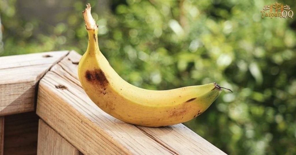 Manfaat Kulit Pisang untuk Tanaman Hias