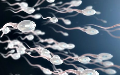 8 Makanan yang Bisa Tingkatkan Jumlah Sperma