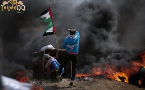 Dalam 24 Jam, 71 Orang Tewas dan 112 Lainnya Terluka di Gaza