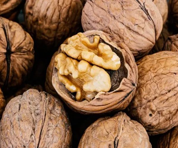 12 Manfaat Kacang Kenari untuk Kesehatan