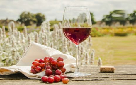 10 Manfaat Wine untuk Kesehatan Tubuh dan Otak