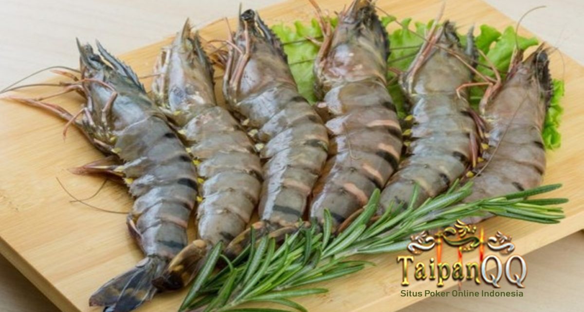 Nutrisi dan Manfaat yang Terkandung dalam Udang