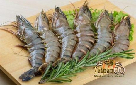 Nutrisi dan Manfaat yang Terkandung dalam Udang