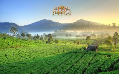 6 Tempat Wisata di Ciwidey yang Lagi Hits dan Terkenal