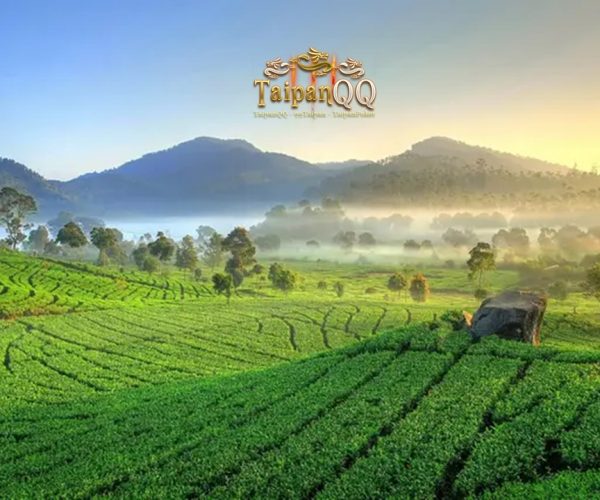 6 Tempat Wisata di Ciwidey yang Lagi Hits dan Terkenal