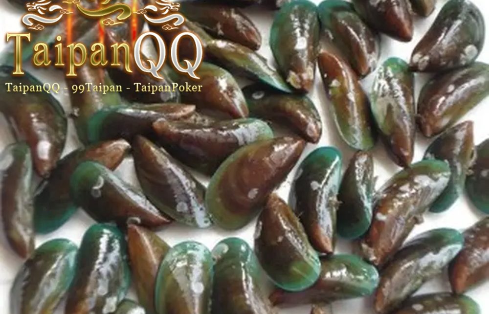 Apakah Kerang Dara Berbahaya Dikonsumsi? Simak Ulasannya, Pantang Disepelekan