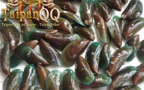 Apakah Kerang Dara Berbahaya Dikonsumsi? Simak Ulasannya, Pantang Disepelekan