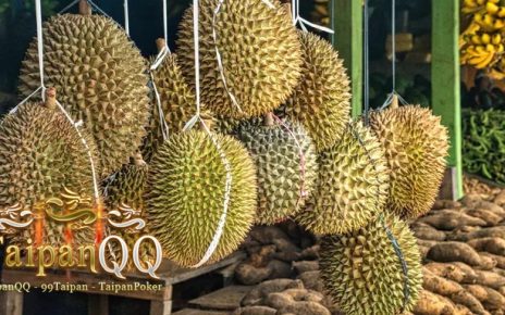 Apakah Durian Bisa Menurunkan Kolesterol Tinggi? Temukan Faktanya!